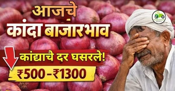  आजचे कांदा बाजारभाव 