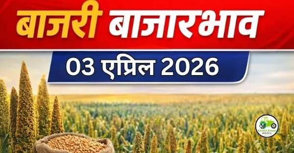 बाजरी बाजारभाव 03 एप्रिल 2026