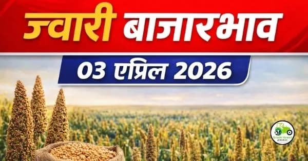 आजचे ज्वारी बाजारभाव 03 एप्रिल 2026