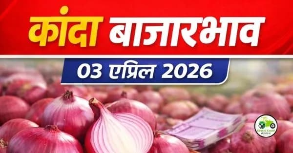कांदा बाजारभाव 03 एप्रिल 2026