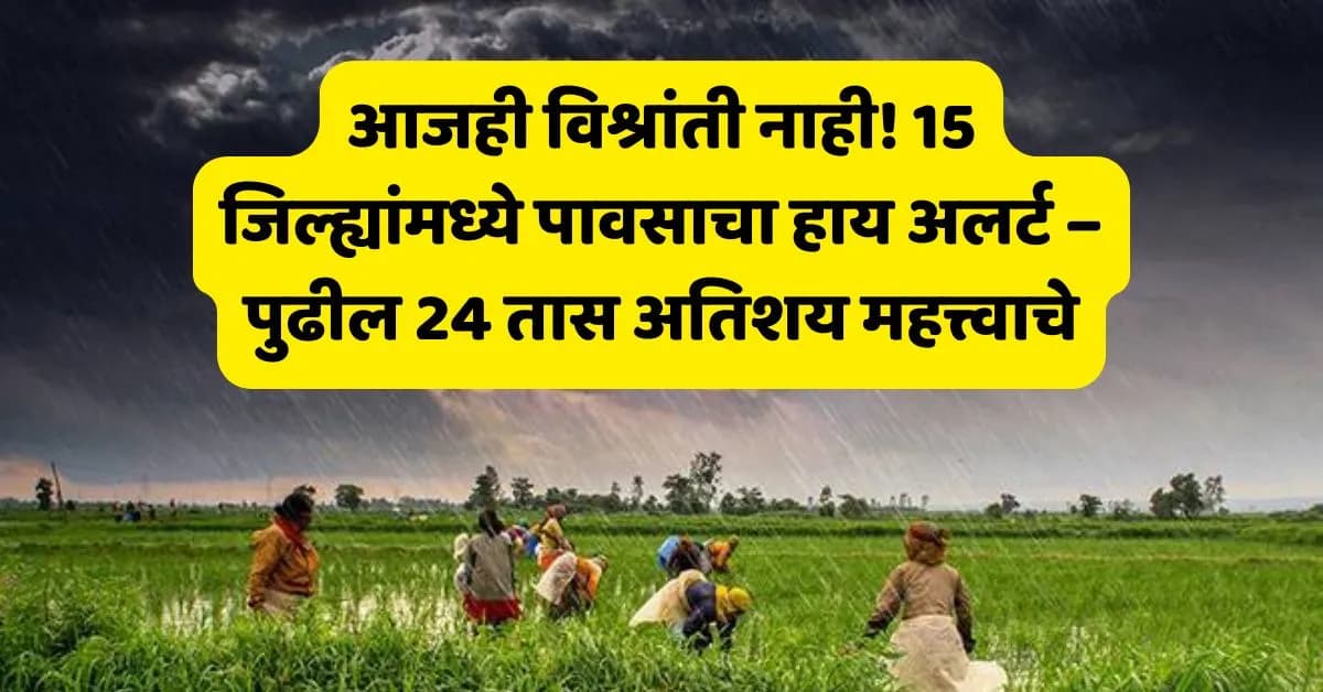 आजही विश्रांती नाही! 15 जिल्ह्यांमध्ये पावसाचा हाय अलर्ट – पुढील 24 तास अतिशय महत्त्वाचे