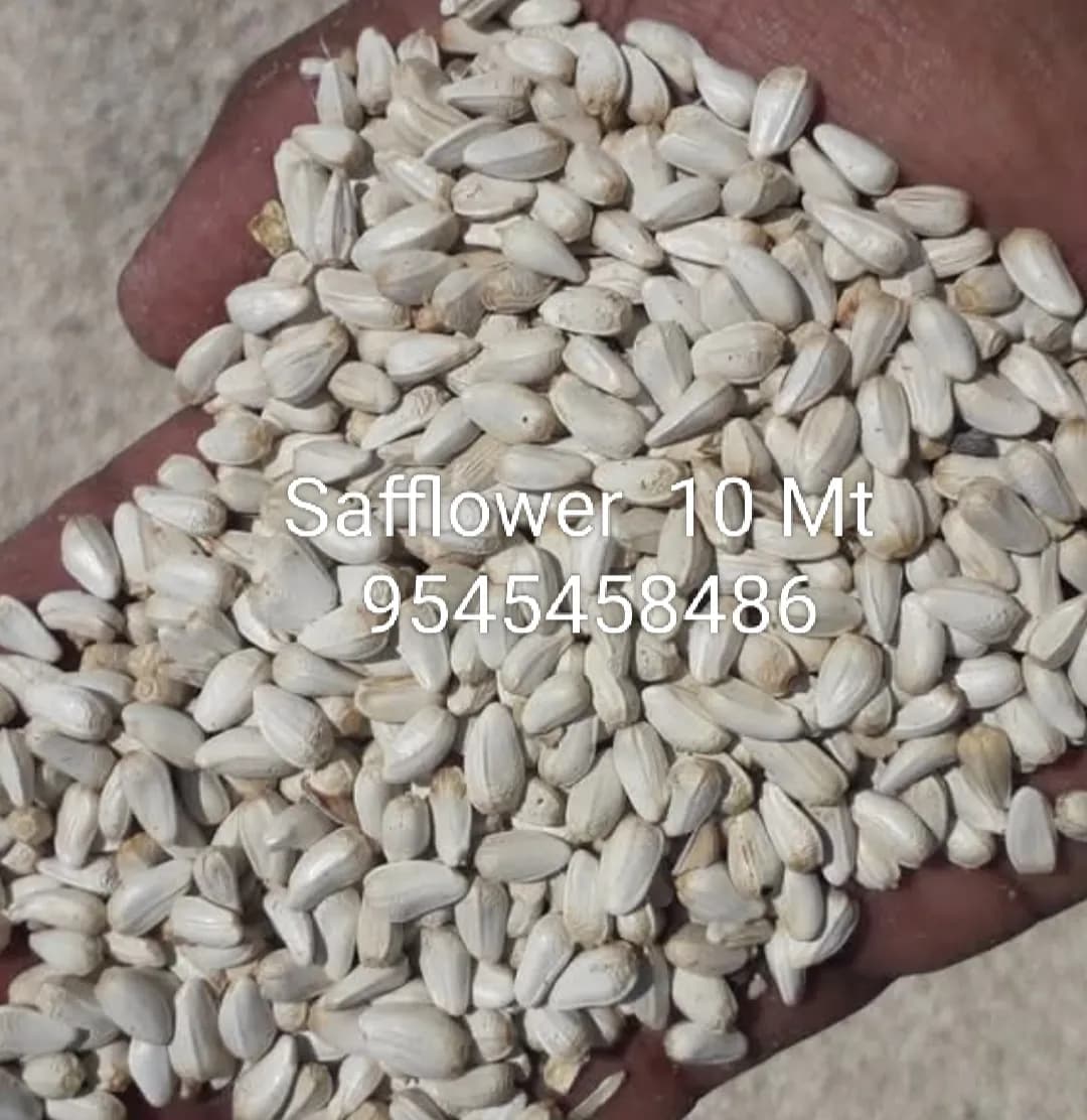 करडई विकणे आहे