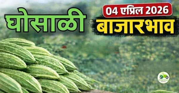 घोसाळी बाजारभाव 04 एप्रिल 2026: आजचे दर आणि बाजार विश्लेषण
