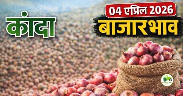 कांदा बाजारभाव 04 एप्रिल 2026: ₹1500 पर्यंत दर | संपूर्ण माहिती
