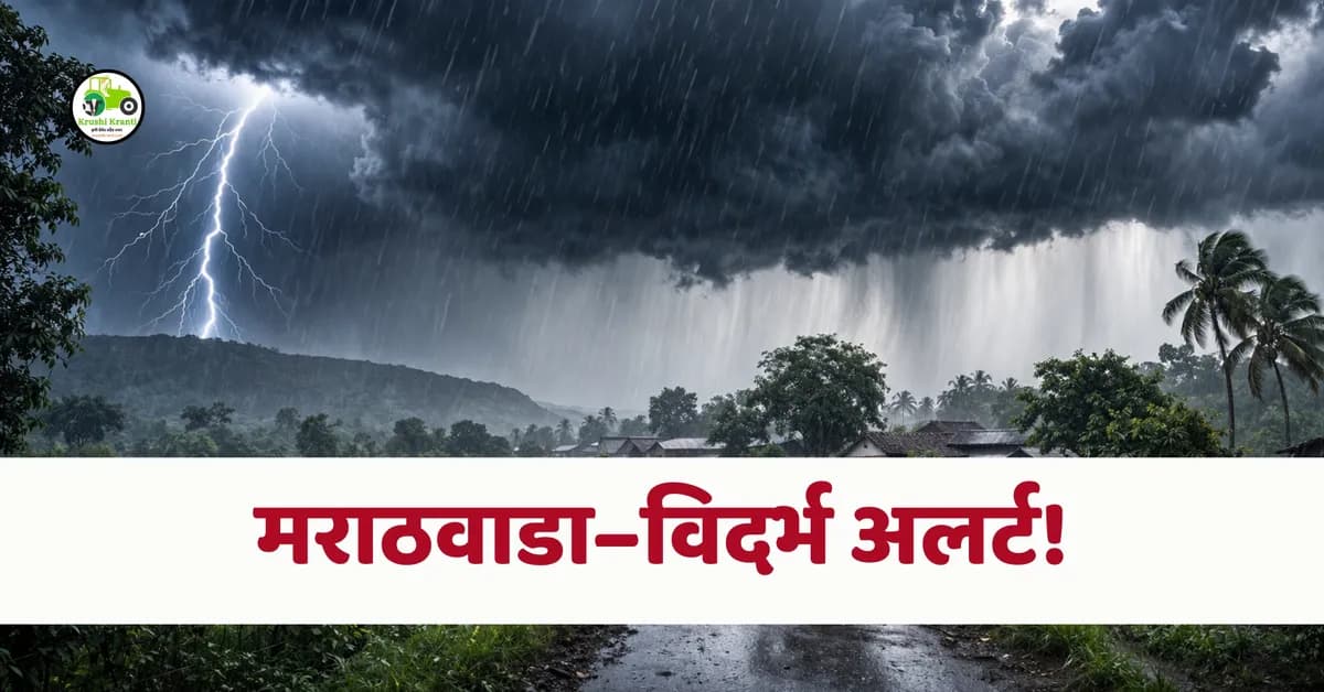 महाराष्ट्रात वादळी पावसाचा इशारा कायम; मराठवाडा–विदर्भात येलो अलर्ट