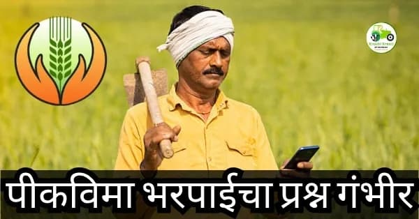 पीकविमा भरपाईचा प्रश्न गंभीर: जालना जिल्ह्यातील 2.61 लाख शेतकरी अजूनही प्रतीक्षेत