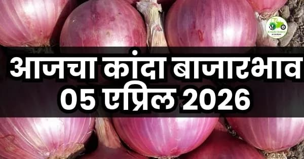 आजचा कांदा बाजारभाव 05 एप्रिल 2026