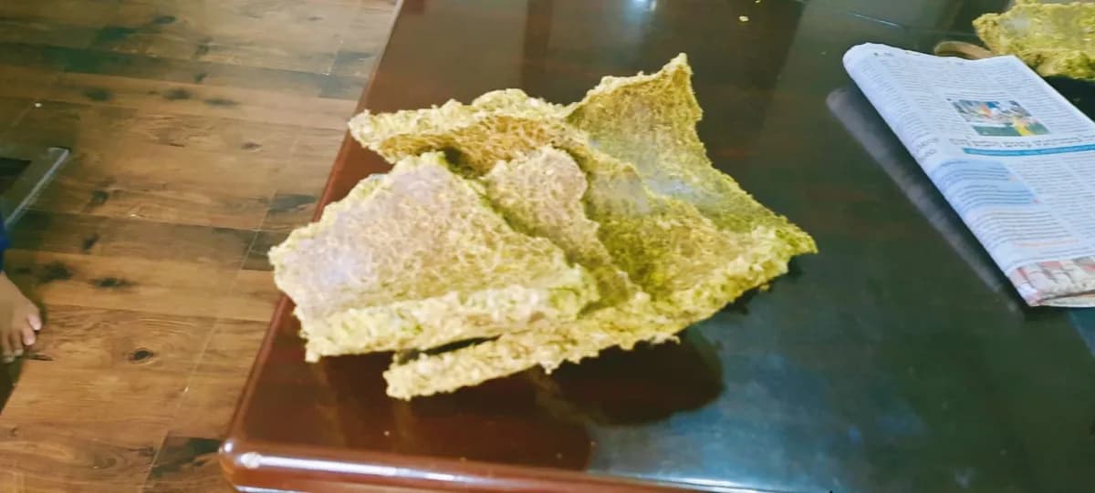 मका ढेप व मका भरडा विक्रीसाठी उपलब्ध