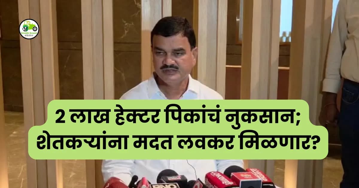 Farmer Compensation Maharashtra: २ लाख हेक्टर पिकांचं नुकसान, शेतकऱ्यांना मदत कधी मिळणार?