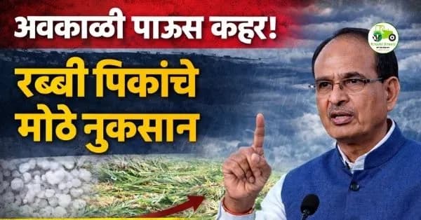 अवकाळी पाऊस व गारपीट: रब्बी पिकांचे मोठे नुकसान, केंद्र सरकारकडून मदतीचे आश्वासन