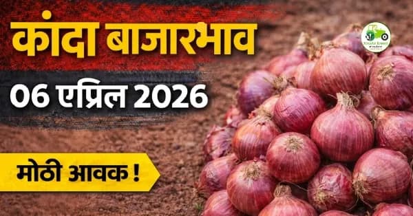 कांदा बाजारभाव 06 एप्रिल 2026