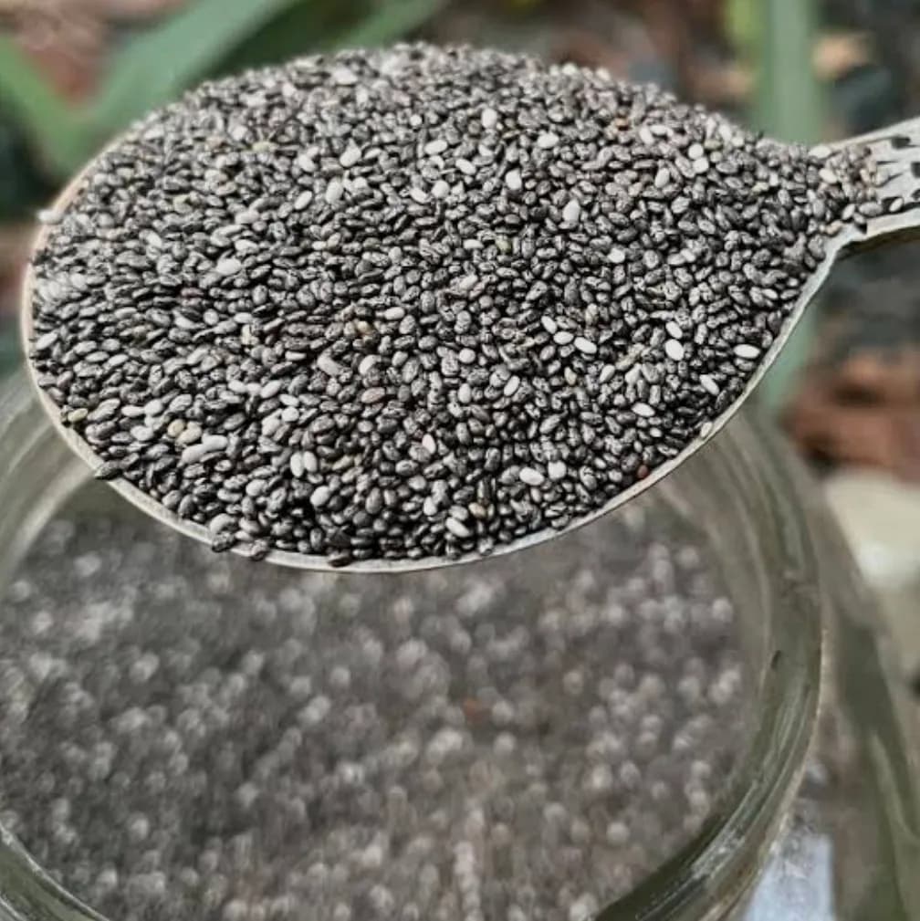 सेंद्रिय चिया सीड विक्रीसाठी | Organic Chia Seeds Available in Maharashtra