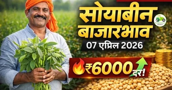 soyabean rate today : सोयाबीन बाजारभाव 07 एप्रिल 2026: आजचे दर, विश्लेषण आणि पुढील अंदाज