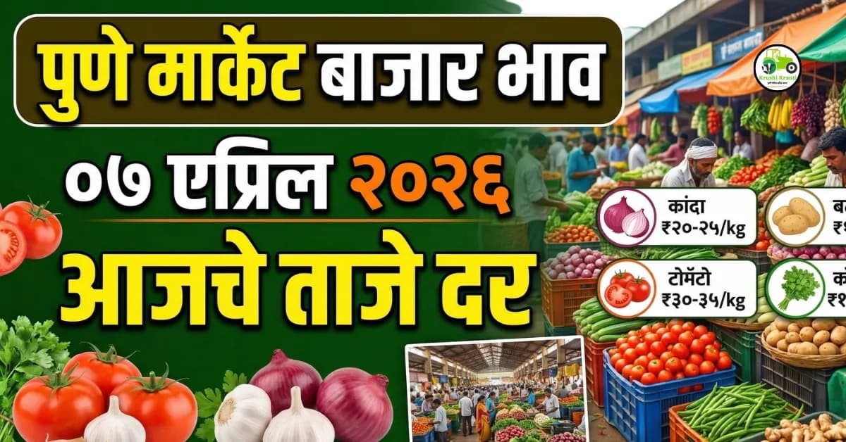 पुणे मार्केट बाजार भाव (07 एप्रिल 2026) – आजचे ताजे दर