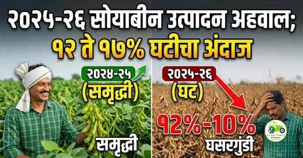 २०२५-२६ सोयाबीन उत्पादन अहवाल: १२ ते १७% घटीचा अंदाज