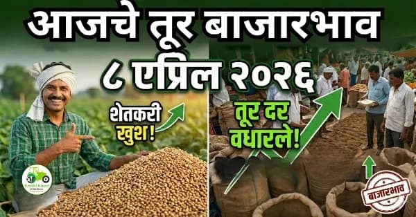 आजचे तूर बाजारभाव ८ एप्रिल २०२६