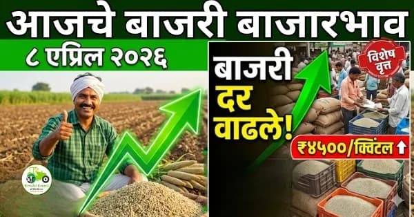 आजचे बाजरी बाजारभाव ८ एप्रिल २०२६