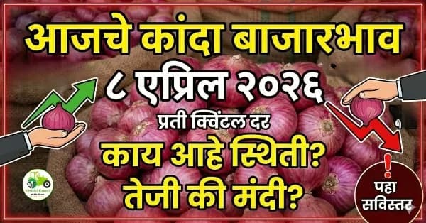आजचे कांदा बाजारभाव ८ एप्रिल २०२६