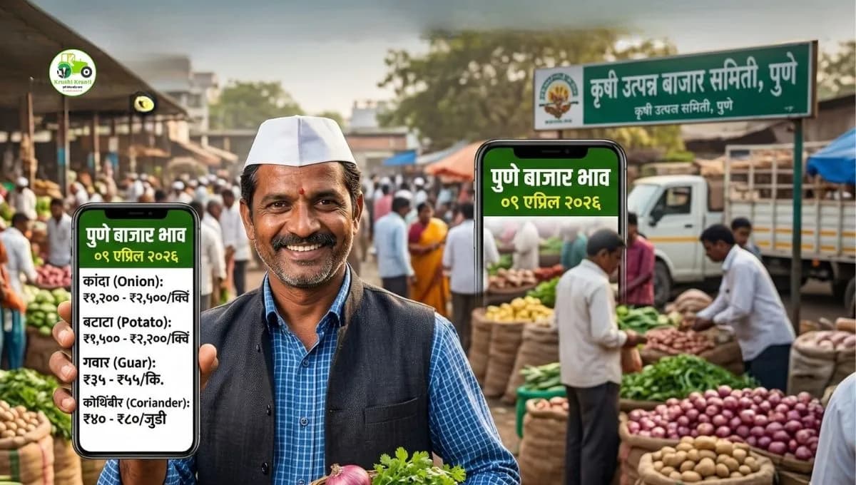 आजचे पुणे मार्केट सर्व पिकाचे बाजार भाव 09 एप्रिल 2026