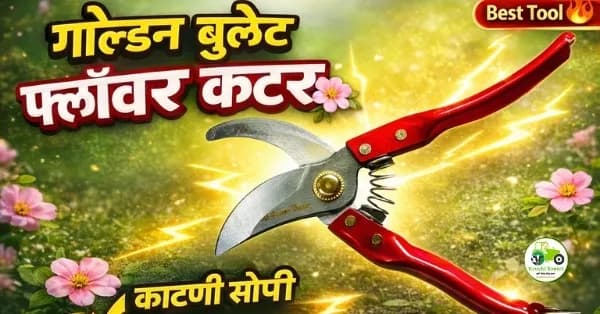 गोल्डन बुलेट फ्लॉवर कटर