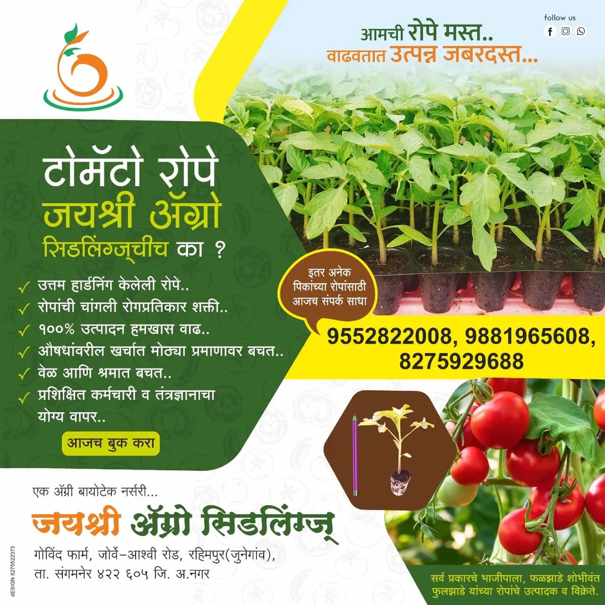 जयश्री ॲग्रो सिडलिंग्ज – भाजीपाला व फुलझाडे रोपे विक्री संगमनेर