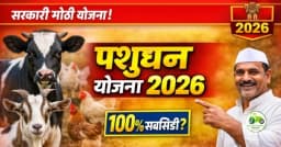 राष्ट्रीय पशुधन अभियान योजना