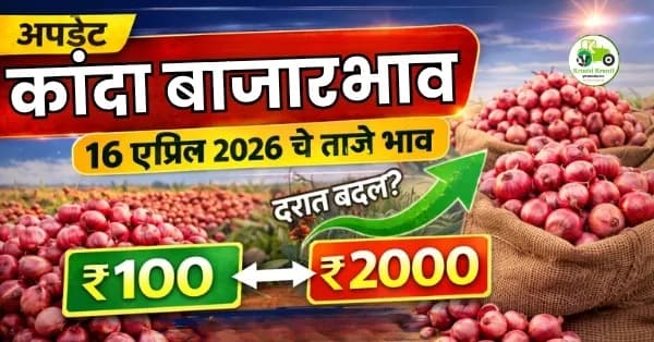 कांदा बाजारभाव आजचे 16 एप्रिल 2026