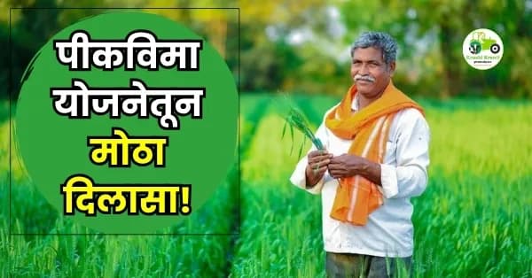 पीकविमा योजनेतून मोठा दिलासा! खरीप 2025 साठी १,२१९ कोटींची नुकसानभरपाई जाहीर