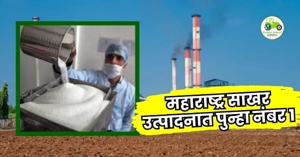 महाराष्ट्र साखर उत्पादनात पुन्हा नंबर 1! 2025-26 ऊस गाळप हंगामाचा आढावा