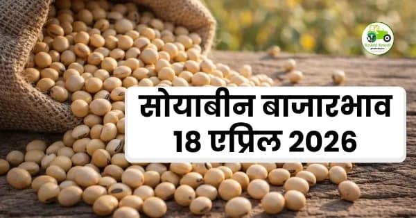 आजचा सोयाबीन बाजारभाव 18 एप्रिल 2026