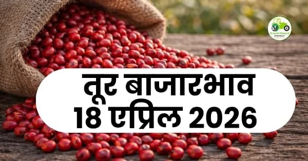 आजचा तूर बाजारभाव – 18 एप्रिल 2026
