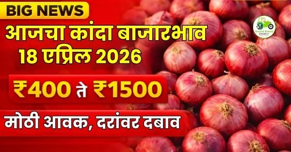 आजचा कांदा बाजारभाव – 18 एप्रिल 2026