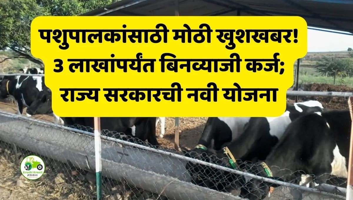 पशुपालकांसाठी मोठी खुशखबर! 3 लाखांपर्यंत बिनव्याजी कर्ज; राज्य सरकारची नवी योजना