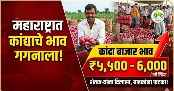 महाराष्ट्रातील कांदा बाजार भाव