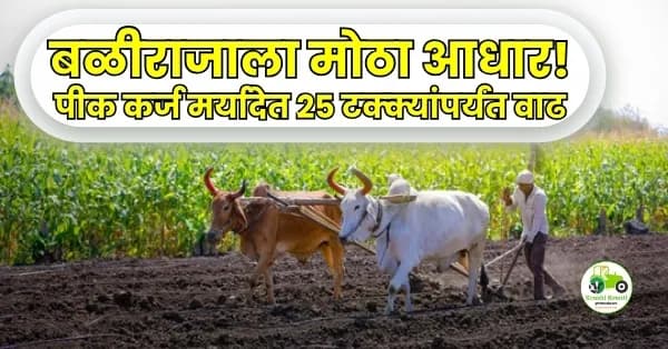 बळीराजाला मोठा आधार! पीक कर्ज मर्यादेत २५ टक्क्यांपर्यंत वाढ