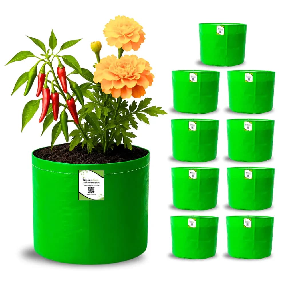 टेरेस गार्डनसाठी ग्रो बॅग 10 नग