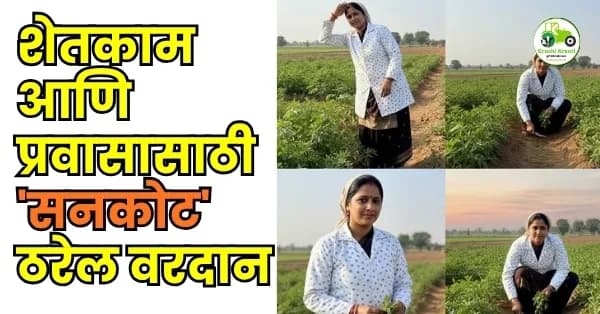शेतकाम आणि प्रवासासाठी 'सनकोट' ठरेल वरदान