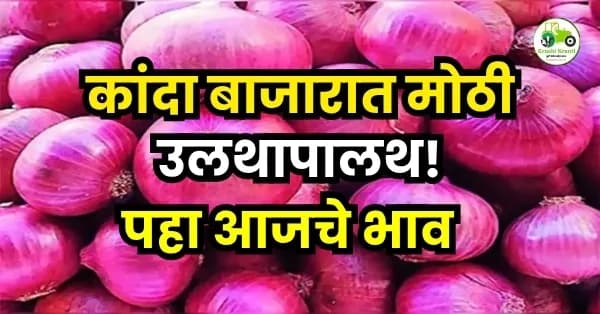 कांदा बाजारात मोठी उलथापालथ!