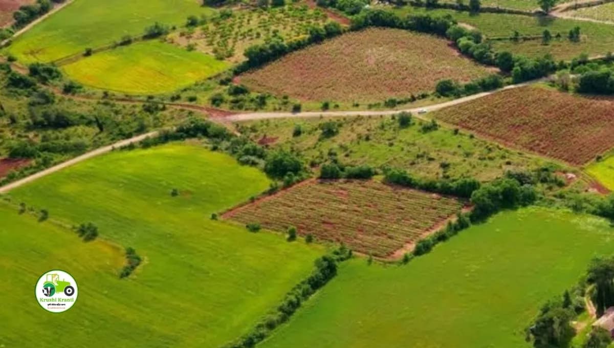 जमीन खरेदी करताना 'या' चुका टाळा, अन्यथा होईल मोठे नुकसान; सर्वोच्च न्यायालयाचा महत्त्वाचा निकाल