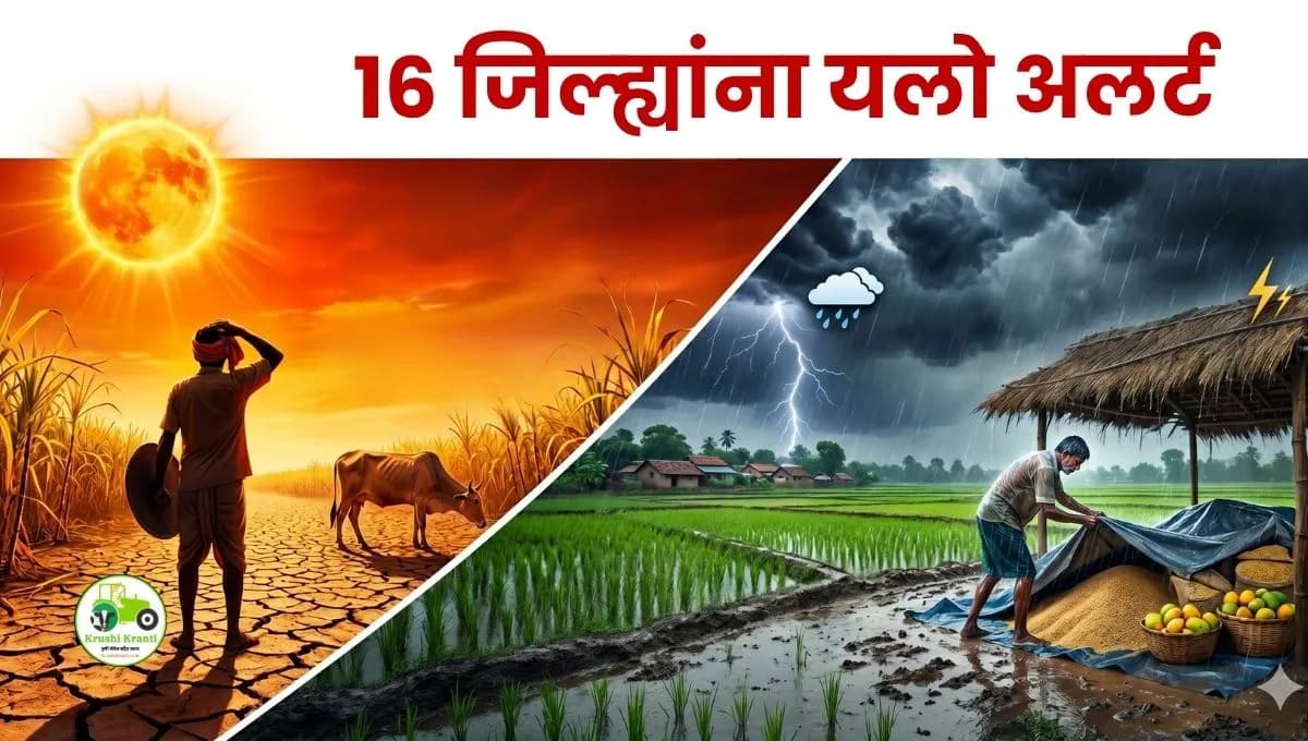 महाराष्ट्र हवामान अपडेट: राज्यात उष्णतेची लाट आणि अवकाळीचा 'डबल अटॅक'