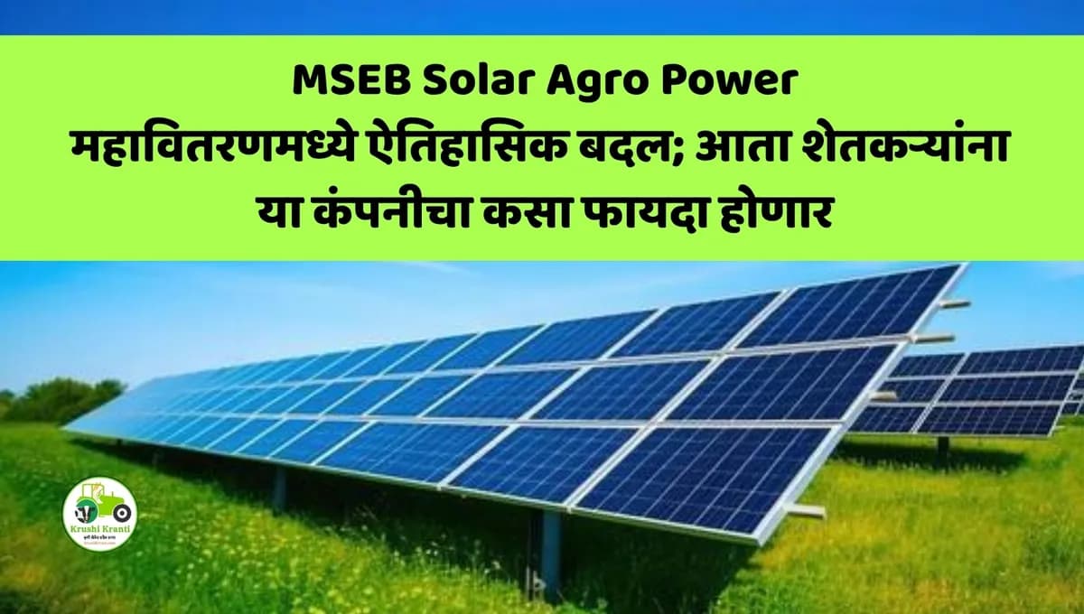 MSEB Solar Agro Power: महावितरणमध्ये ऐतिहासिक बदल; आता शेतकऱ्यांना या कंपनीचा कसा फायदा होणार