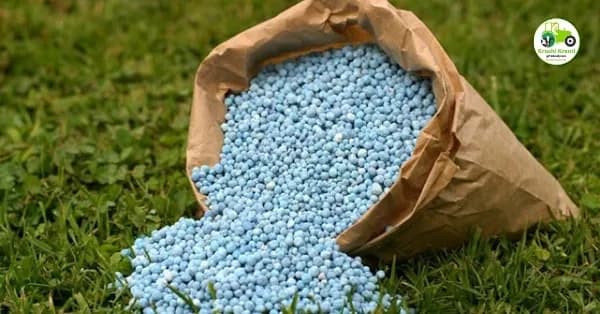 खतांची चिंता मिटली!