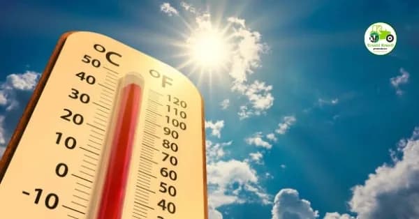 महाराष्ट्रात उष्णतेचा कहर!