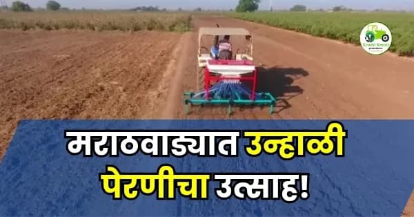 मराठवाड्यात उन्हाळी पेरणीचा उत्साह!