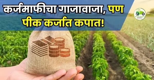कर्जमाफीचा गाजावाजा, पण पीक कर्जात कपात!