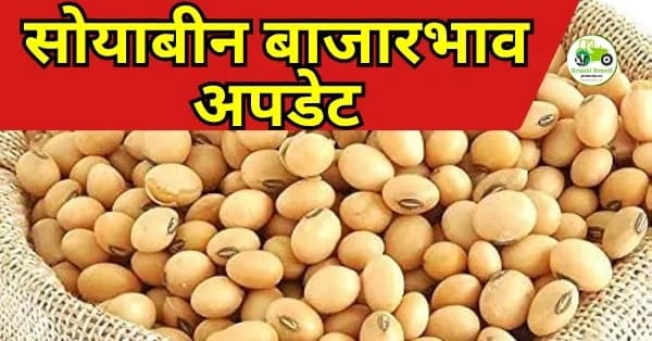 सोयाबीन बाजारभाव अपडेट