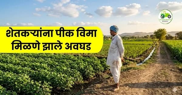 शेतकऱ्यांची पीक विम्यात थट्टा! १५३ कोटींचा प्रीमियम भरला