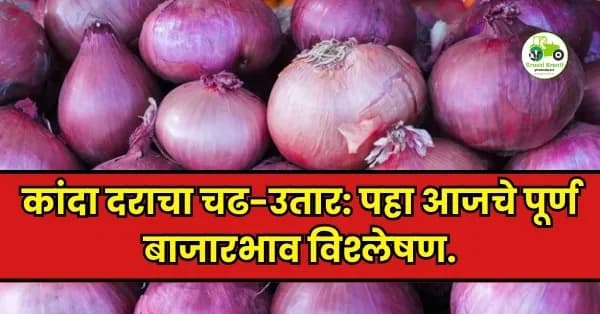 कांदा बाजारभाव अपडेट:पहा सविस्तर अहवाल