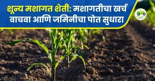 शून्य मशागत शेती: मशागतीचा खर्च वाचवा आणि जमिनीचा पोत सुधारा; पण कोणत्या पिकांसाठी आहे फायदेशीर?