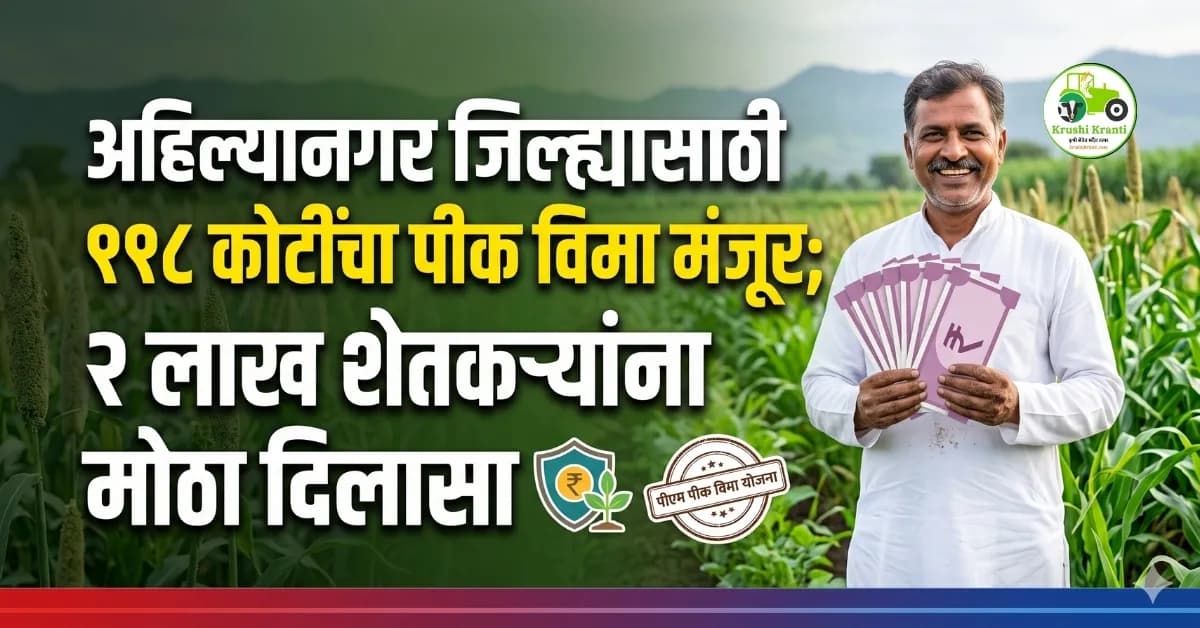 अहिल्यानगर जिल्ह्यासाठी ११८ कोटींचा पीक विमा मंजूर; २ लाखांहून अधिक शेतकऱ्यांना दिलासा